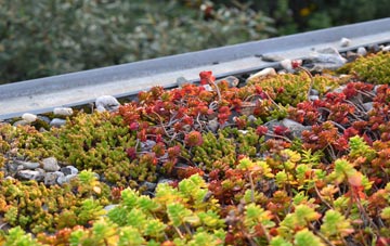 the cost of Rising Bridge green roof installation