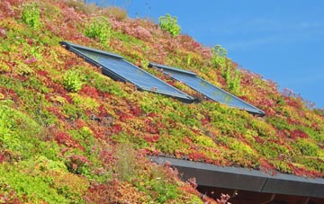 Rising Bridge living roof systems